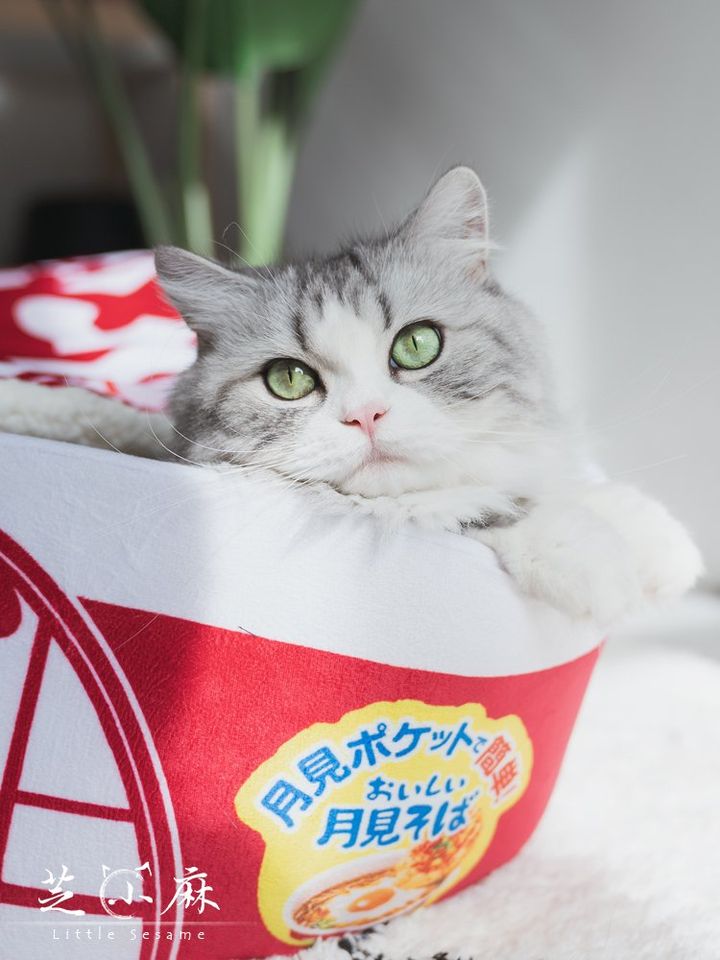 Japanese Soup Noodle Pet Bed (50cm Big size suitable for S-M size animals)