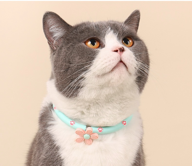 MiaoFairy Macaron Pet Ceramic Bowl