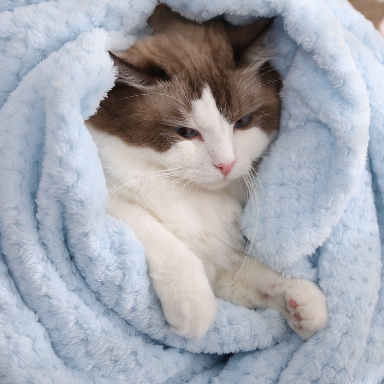 Hoopet Comfortably Sleep Blanket, Pet Nest Mat