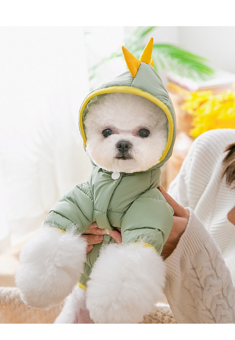Funny Little Dinosaur Down Jacket