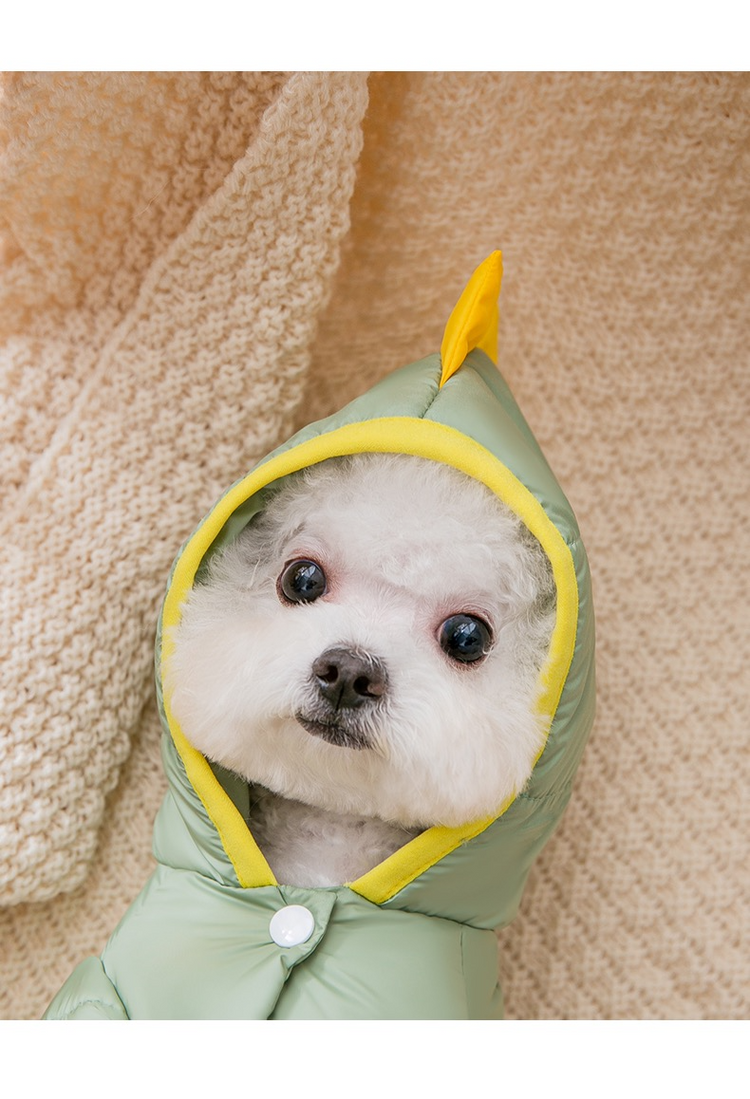 Funny Little Dinosaur Down Jacket
