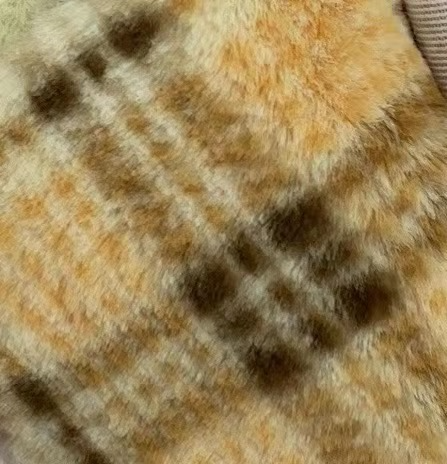 Soft Blanket Cloak for Pet