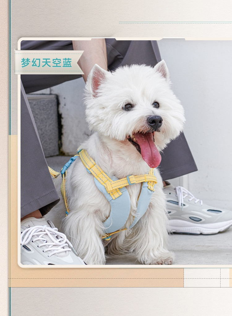 Retractable Dog Harness and Leash Set