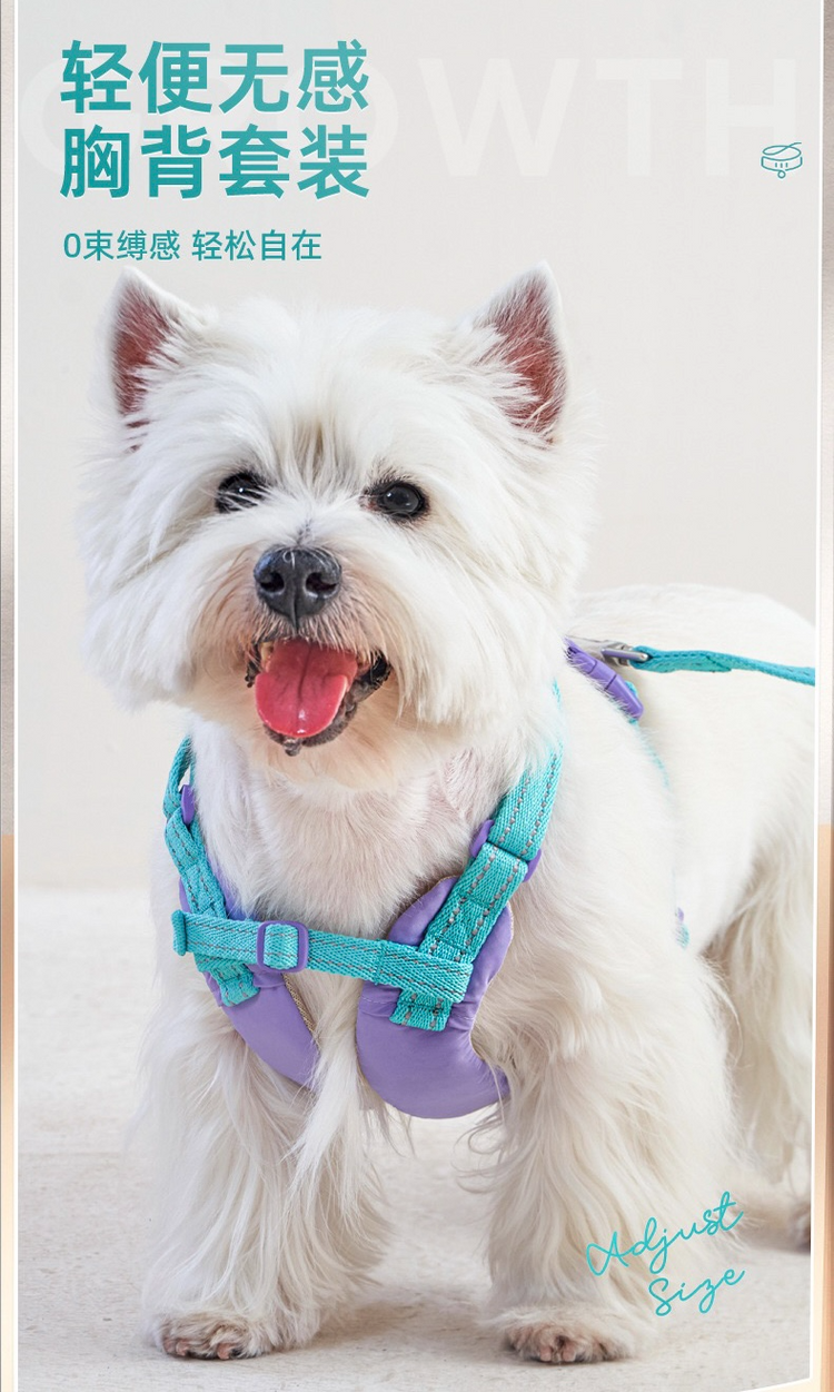 Retractable Dog Harness and Leash Set