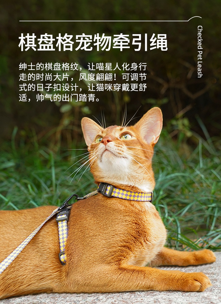 Zeze Checkerboard Pattern Pet Leash