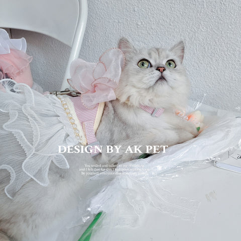Handmade Princess Lace dress with Leash for Cat