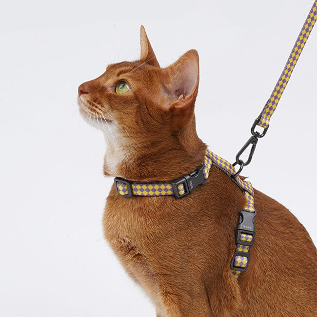 Zeze Checkerboard Pattern Pet Leash