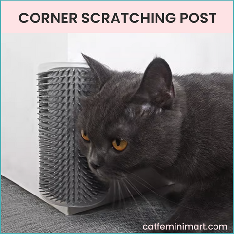 Cat Corner Self Scratching Post