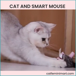 CAT AND SMART MOUSE (With squeaking sound)