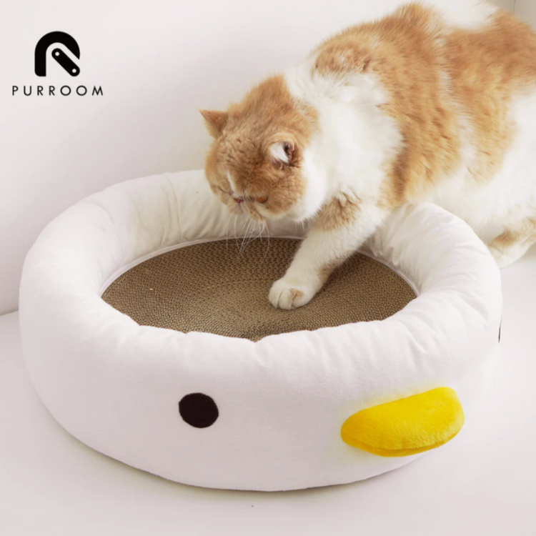🐱 PURROOM Chick Four Seasons Pet Nest