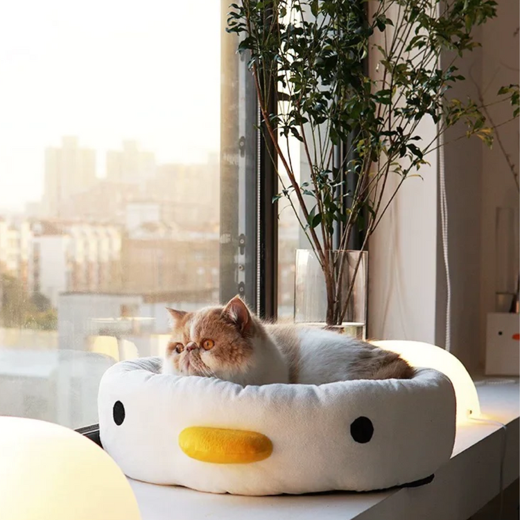 🐱 PURROOM Chick Four Seasons Pet Nest