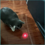 MINI LASER POINTER CAT TOY