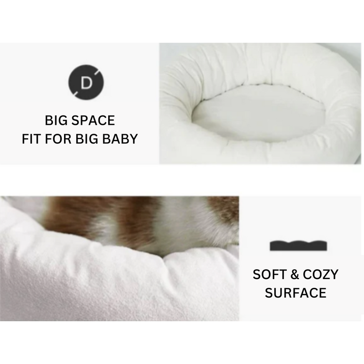 🐱 PURROOM Chick Four Seasons Pet Nest
