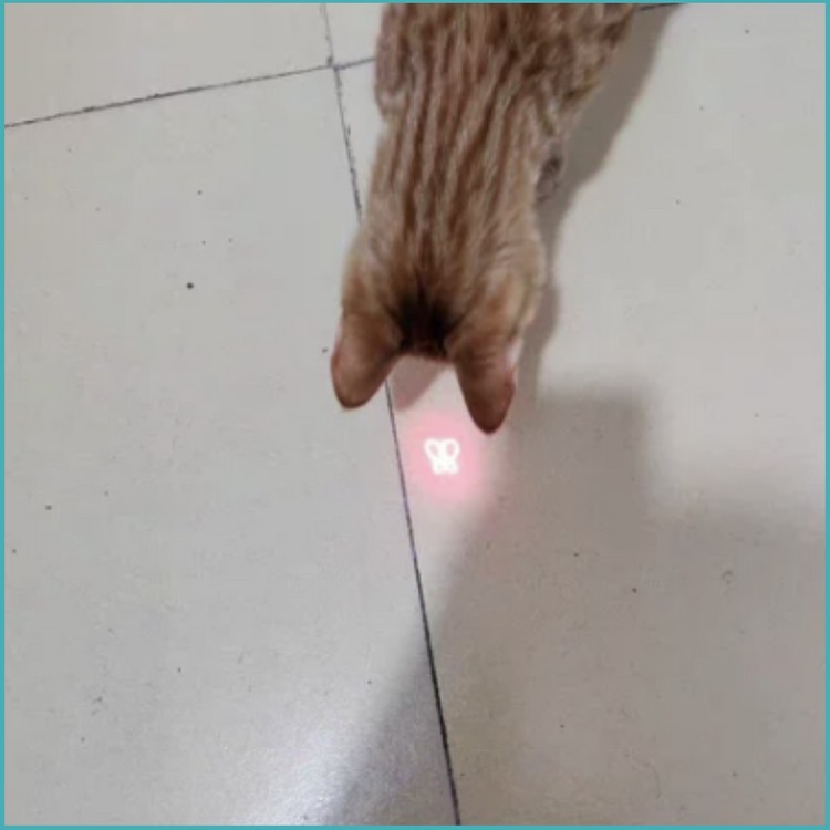 MINI LASER POINTER CAT TOY