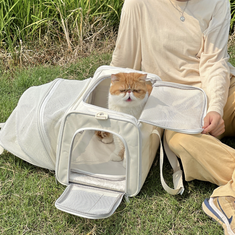 Extendable Fresh Air Pet Carrier Bag