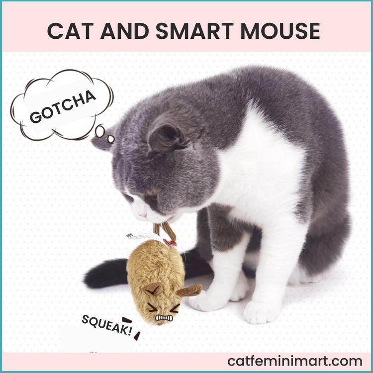 CAT AND SMART MOUSE (With squeaking sound)