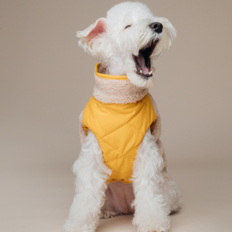 IS PET - Beige Berber fleece jacket for dog