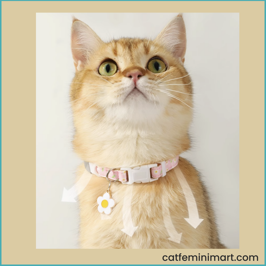 Stunning Flower Pet Collar