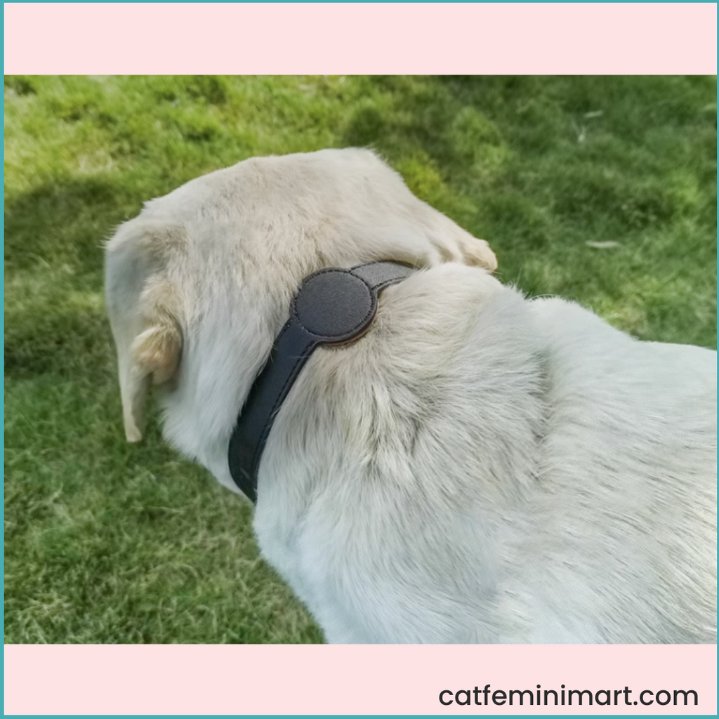 Dog pet collar location tracking Airtag band (Not include Airtag)