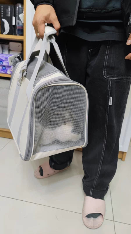 Foldable Ventilated Mesh Pet Carrier Bag