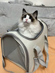 Foldable Ventilated Mesh Pet Carrier Bag