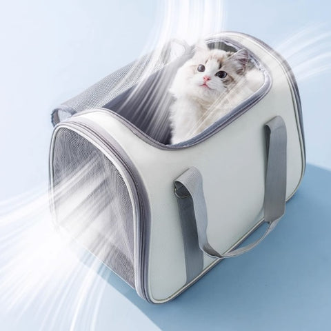 Foldable Ventilated Mesh Pet Carrier Bag
