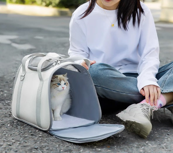 Foldable Ventilated Mesh Pet Carrier Bag