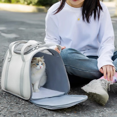 Foldable Ventilated Mesh Pet Carrier Bag