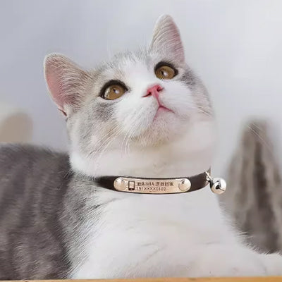 Pet leather collar with bell (No name engraved)