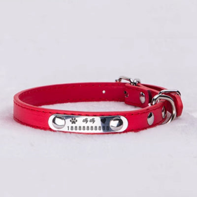 Pet PU Collar (Name engraving not provide)