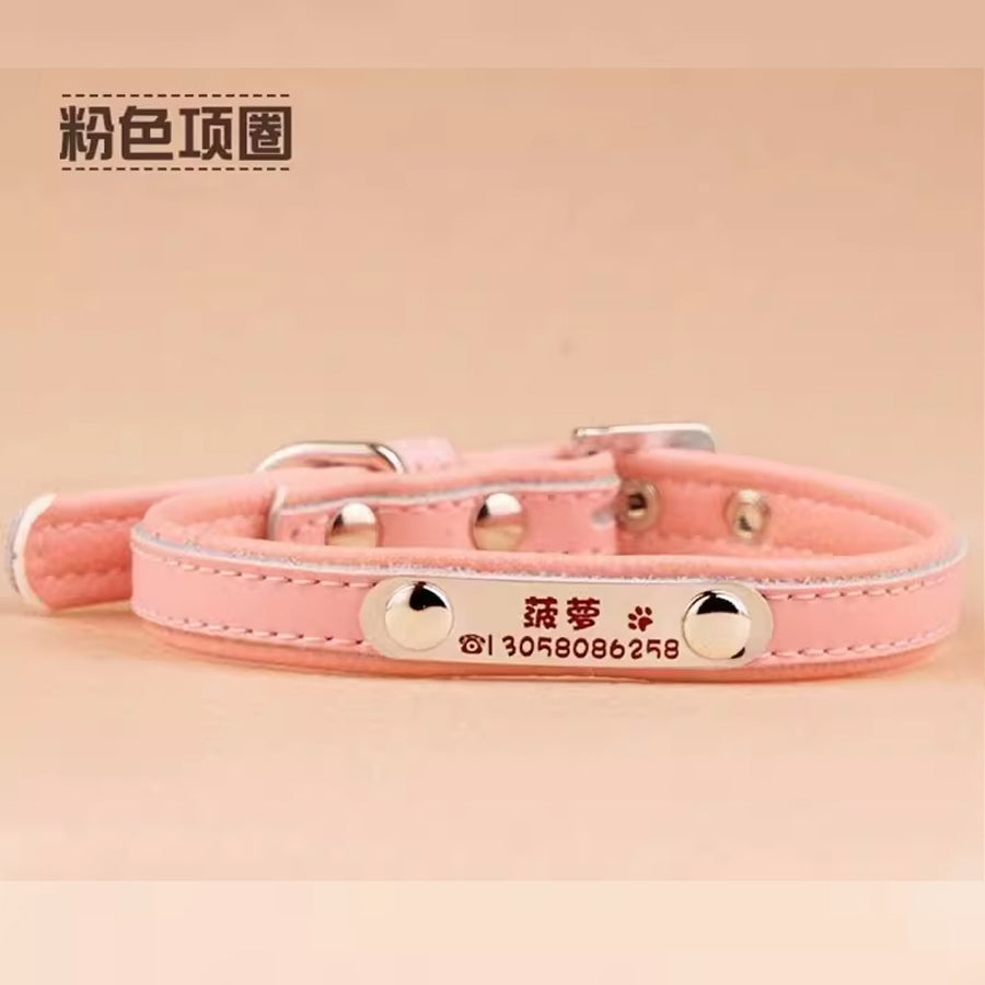 Pinky Pet collar for small dogs and cats (No engraving)