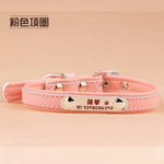 Pinky Pet collar for small dogs and cats (No engraving)