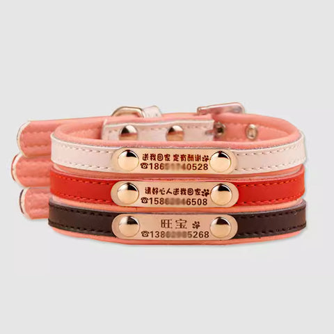 Pinky Pet collar for small dogs and cats (No engraving)