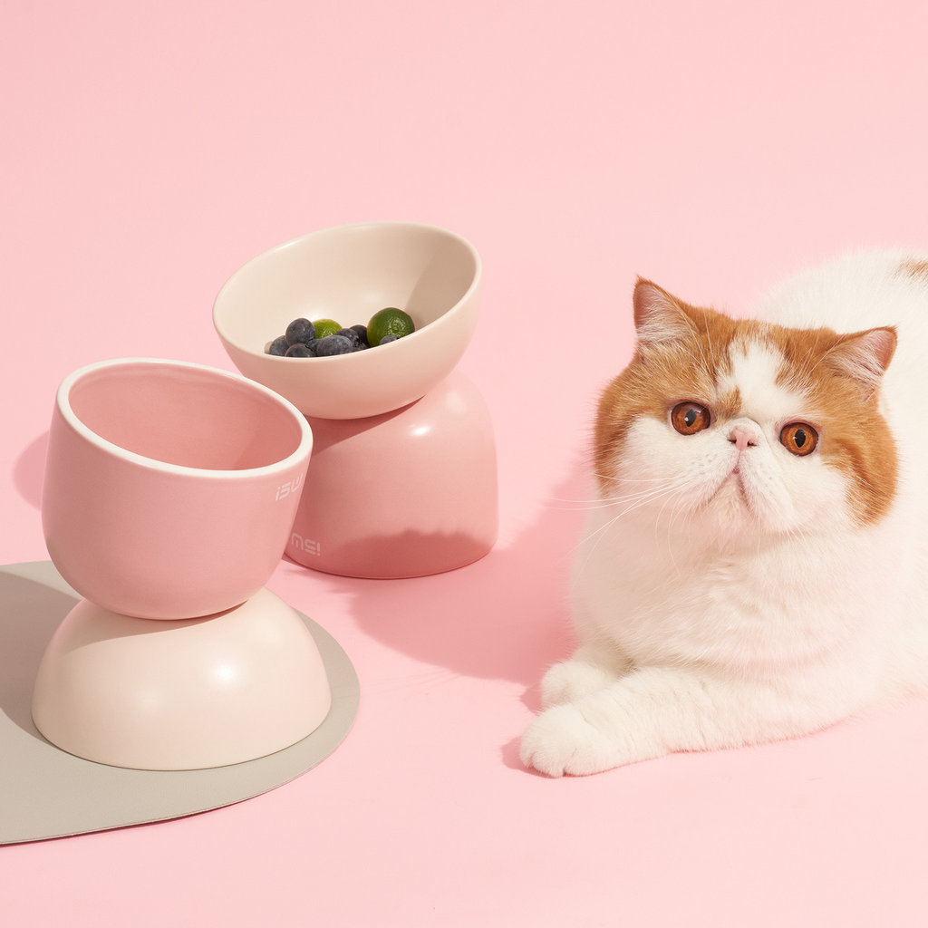 Makesure Cat Bowl - Deisgn for Alleviate Cat’s Spine Burden