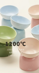 Makesure Cat Bowl - Deisgn for Alleviate Cat’s Spine Burden