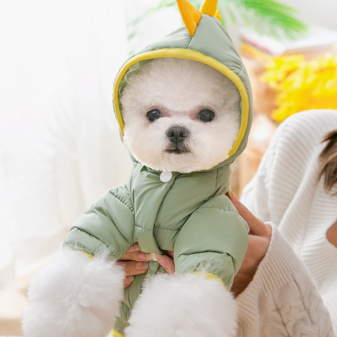 Funny Little Dinosaur Down Jacket