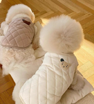 Pet Plaid Cotton Jacket Vest