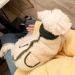 Pet Cotton Plush Coat with Scarf