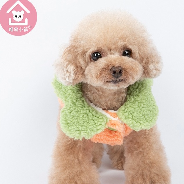 Little Carrot Costume Cotton Pet Coat, Green Orange Dog or Cat Cloth