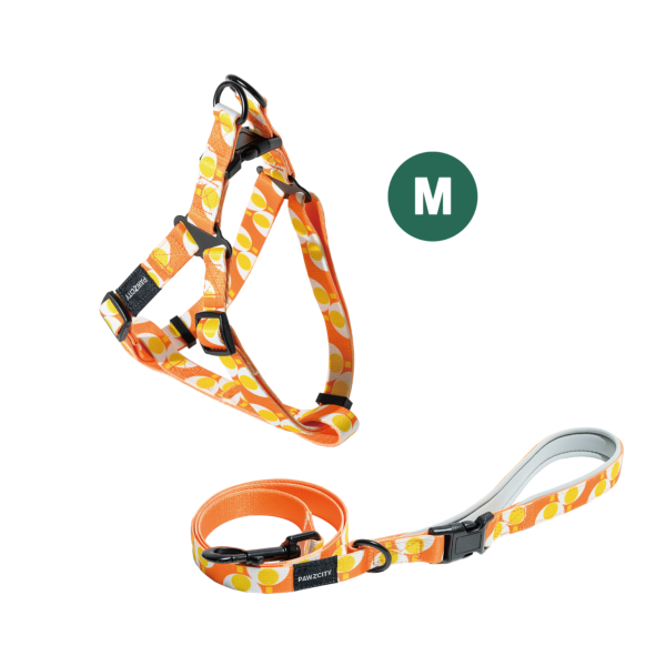 PAWZCITY Adjustable Leash Set - Sunny Egg M