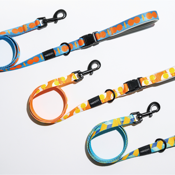 PAWZCITY Adjustable Leash Set - Sunny Egg M