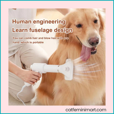 2-In-1 Portable Pet Grooming Dryer low-noise Temperature