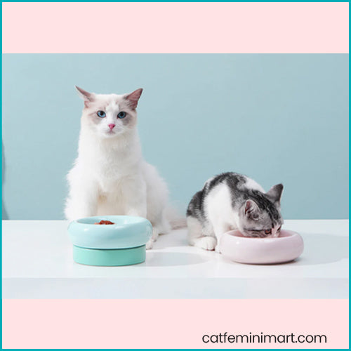 Makesure Yummy 2in1 Cat Bowl