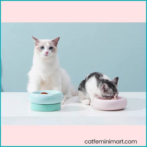 Makesure Yummy 2in1 Cat Bowl