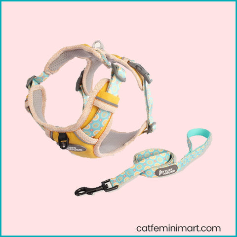 Tuffhound Bubble Harness and Leash Yellow