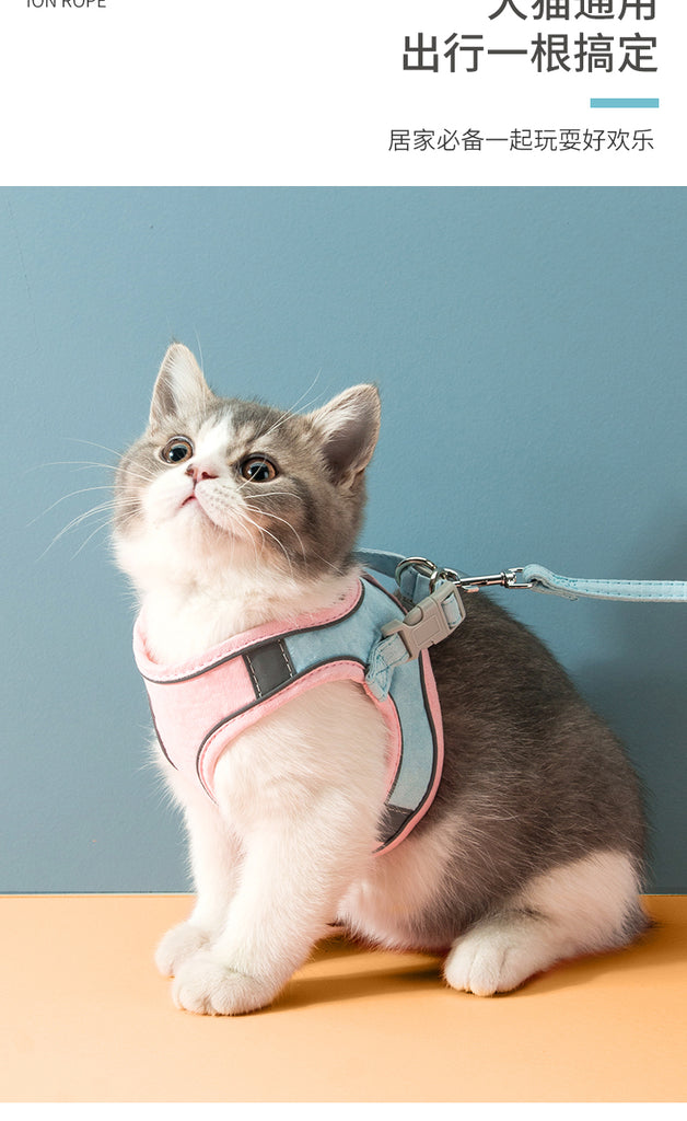 Outdoor Vest Harness and Leash for Pets