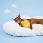 Zeze Cloud Pet Cashmere Cushion