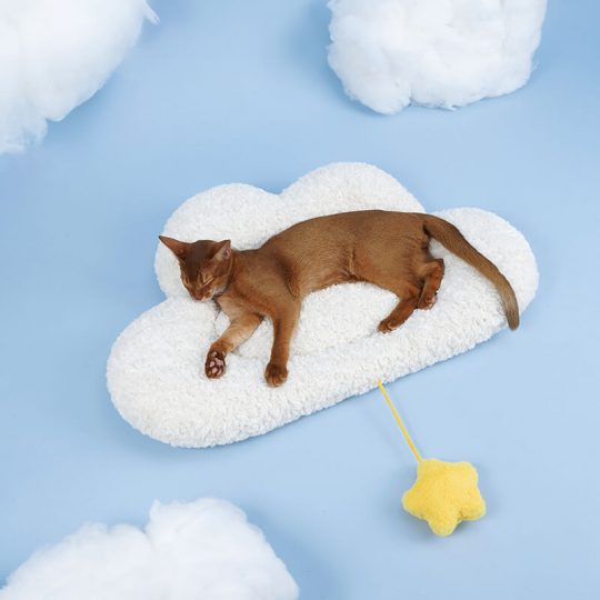 Zeze Cloud Pet Cashmere Cushion