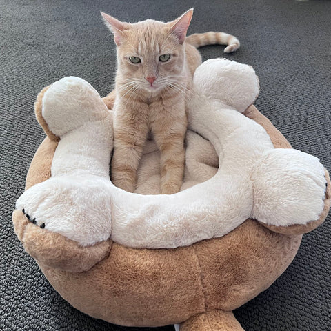 Belly-like Design Pet Kneading Cushion Bed