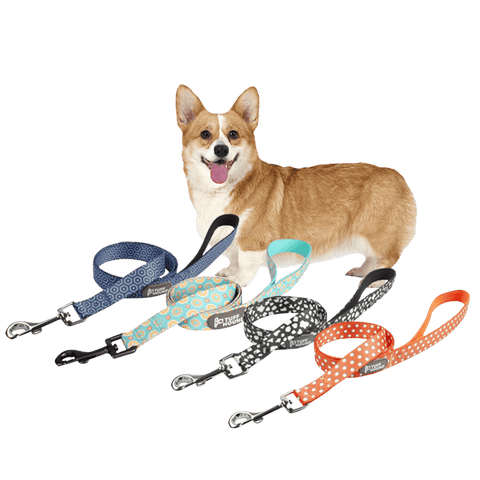 Tuffhound Dog Leash (3 Colors)